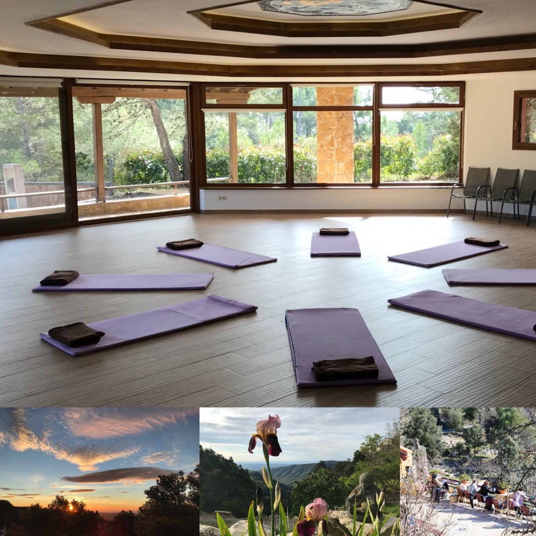 Sala preparada con colchonetas para práctica de meditación.